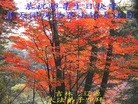 法轮功,吉林省大法弟子恭贺师尊华诞暨大法洪传二十二周年(22条)
