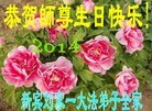 ֹ,󷨵ӹʦ𻪵ߴ󷨺鴫ʮ(21)
