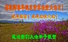 ֹ,ʡ󷨵ӹʦ𻪵ߴ󷨺鴫ʮ(25)
