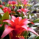 ֹ,ӱ󷨵ӹʦ𻪵ߴ󷨺鴫ʮ(24)
