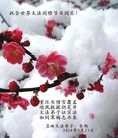 法轮功,吉林市大法弟子恭贺师尊华诞暨大法洪传二十二周年(18条)
