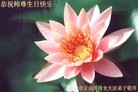 ֹ,󷨵ӹʦ𻪵ߴ󷨺鴫ʮ(26)
