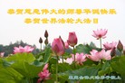 ֹ,ɽ󷨵ӹʦ𻪵ߴ󷨺鴫ʮ(26)
