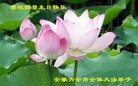ֹ,մ󷨵ӹش󷨺鴫ʮʦ𻪵(26)
