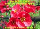 ֹ,󷨵ӹʦ𻪵ߴ󷨺鴫ʮ(19)
