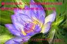 ֹ,ɽ󷨵ӹʦ𻪵ߴ󷨺鴫ʮ(19)
