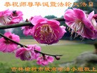 法轮功,长春大法弟子恭贺大法洪传二十二周年暨师尊华诞(26条)
