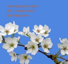 ֹ,ӱ󷨵ӹʦ𻪵ߴ󷨺鴫ʮ(19)
