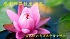 法轮功,吉林市大法弟子恭贺师尊华诞暨大法洪传二十二周年(18条)
