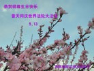 法轮功,吉林省大法弟子恭贺师尊华诞暨大法洪传二十二周年(25条)
