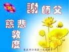 法轮功,重庆大法弟子恭贺世界法轮大法日暨师尊华诞(21条)
