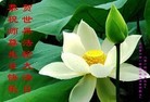 ֹ,󷨵ӹش󷨺鴫ʮʦ𻪵(25)
