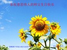 ֹ,ӱ󷨵ӹش󷨺鴫ʮʦ𻪵(23)
