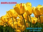 法轮功,湖南大法弟子恭贺师尊华诞暨大法洪传二十二周年(24条)
