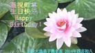 法轮功,长沙大法弟子恭贺世界法轮大法日暨师尊华诞(27条)
