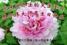法轮功,重庆大法弟子恭贺师尊华诞暨大法洪传二十二周年(27条)
