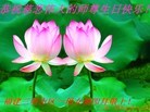 ֹ,󷨵ӹʦ𻪵ߴ󷨺鴫ʮ(22)
