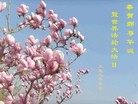 ֹ,󷨵ӹش󷨺鴫ʮʦ𻪵(30)
