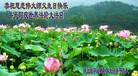 ֹ,󷨵ӹش󷨺鴫ʮʦ𻪵(29)
