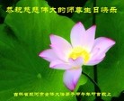 ֹ,ʡ󷨵ӹش󷨺鴫ʮʦ𻪵(20)
