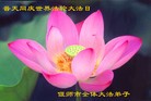 ֹ,ϴ󷨵ӹش󷨺鴫ʮʦ𻪵(28)
