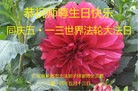 ֹ,㶫󷨵ӹʦ𻪵ߴ󷨺鴫ʮ(28)

