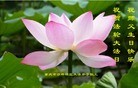 法轮功,重庆大法弟子恭贺大法洪传二十二周年暨师尊华诞(25条)
