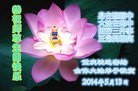 法轮功,重庆大法弟子恭贺大法洪传二十二周年暨师尊华诞(25条)
