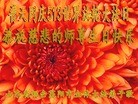 ֹ,ɽ󷨵ӹش󷨺鴫ʮʦ𻪵(30)
