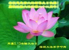 ֹ,㶫󷨵ӹش󷨺鴫ʮʦ𻪵(29)
