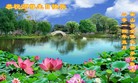 法轮功,湖南大法弟子恭贺大法洪传二十二周年暨师尊华诞(29条)
