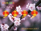 法轮功,湖南大法弟子恭贺师尊华诞暨大法洪传二十二周年(24条)
