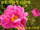 ֹ,󷨵ӹ編ִʦ𻪵(26)
