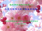 ֹ,󷨵ӹش󷨺鴫ʮʦ𻪵(24)
