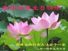 法轮功,吉林省大法弟子恭贺大法洪传二十二周年暨师尊华诞(20条)
