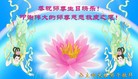 ֹ,ʡ󷨵ӹش󷨺鴫ʮʦ𻪵(20)
