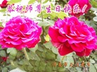 ֹ,ϴ󷨵ӹʦ𻪵ߴ󷨺鴫ʮ(28)
