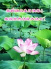 ֹ,󷨵ӹش󷨺鴫ʮʦ𻪵(30)

