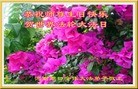 ֹ,ϴ󷨵ӹش󷨺鴫ʮʦ𻪵(26)
