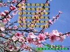 ֹ,մ󷨵ӹش󷨺鴫ʮʦ𻪵(26)
