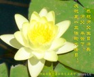ֹ,ϴ󷨵ӹ編ִʦ𻪵(24)
