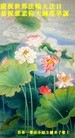 法轮功,长春大法弟子恭贺世界法轮大法日暨师尊华诞(23条)
