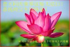 法轮功,湖南大法弟子恭贺大法洪传二十二周年暨师尊华诞(29条)
