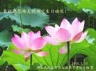 ֹ,󷨵ӹ編ִʦ𻪵(23)
