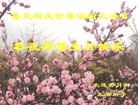 ֹ,󷨵ӹش󷨺鴫ʮʦ𻪵(26)
