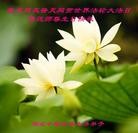 ֹ,󷨵ӹ編ִʦ𻪵(23)
