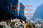 法轮功,湖南大法弟子恭贺大法洪传二十二周年暨师尊华诞(25条)
