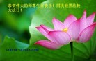 ֹ,ൺ󷨵ӹش󷨺鴫ʮʦ𻪵(24)
