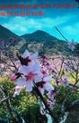 ֹ,󷨵ӹ編ִʦ𻪵(27)
