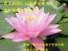 ֹ,ϴ󷨵ӹ編ִʦ𻪵(27)

